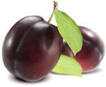 Frugttræer tilbud