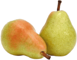 Frugttræer tilbud